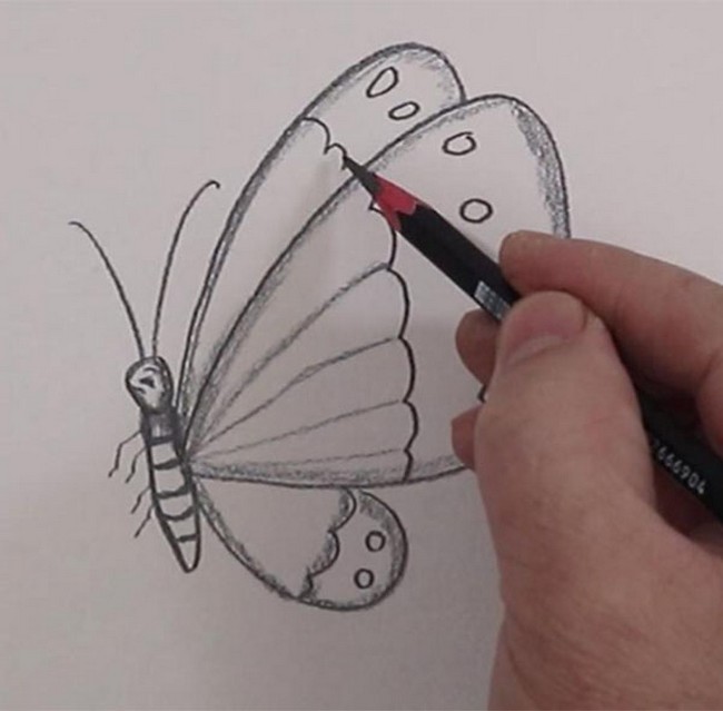 Monarch Butterfly Drawing - How To Draw A Monarch Butterfly Step By Step-saigonsouth.com.vn