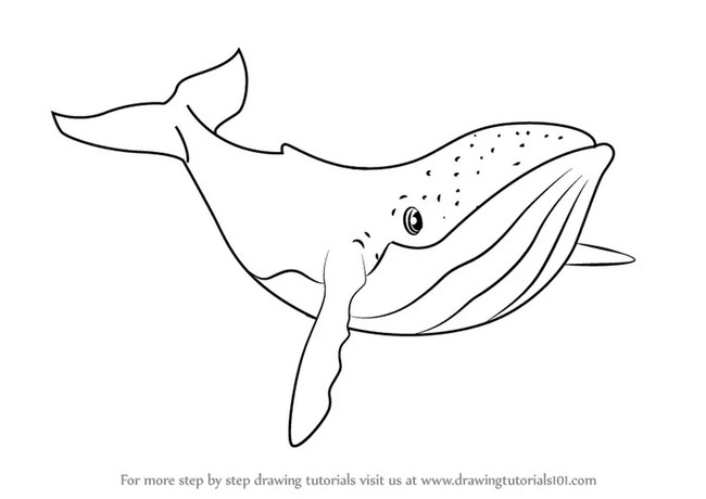 How To Draw Humpback Whale From Fantasia