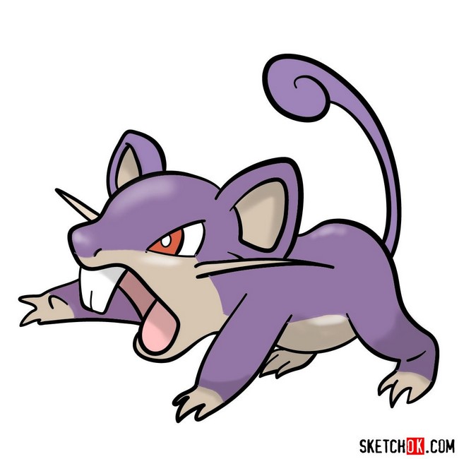 How to draw Rattata
