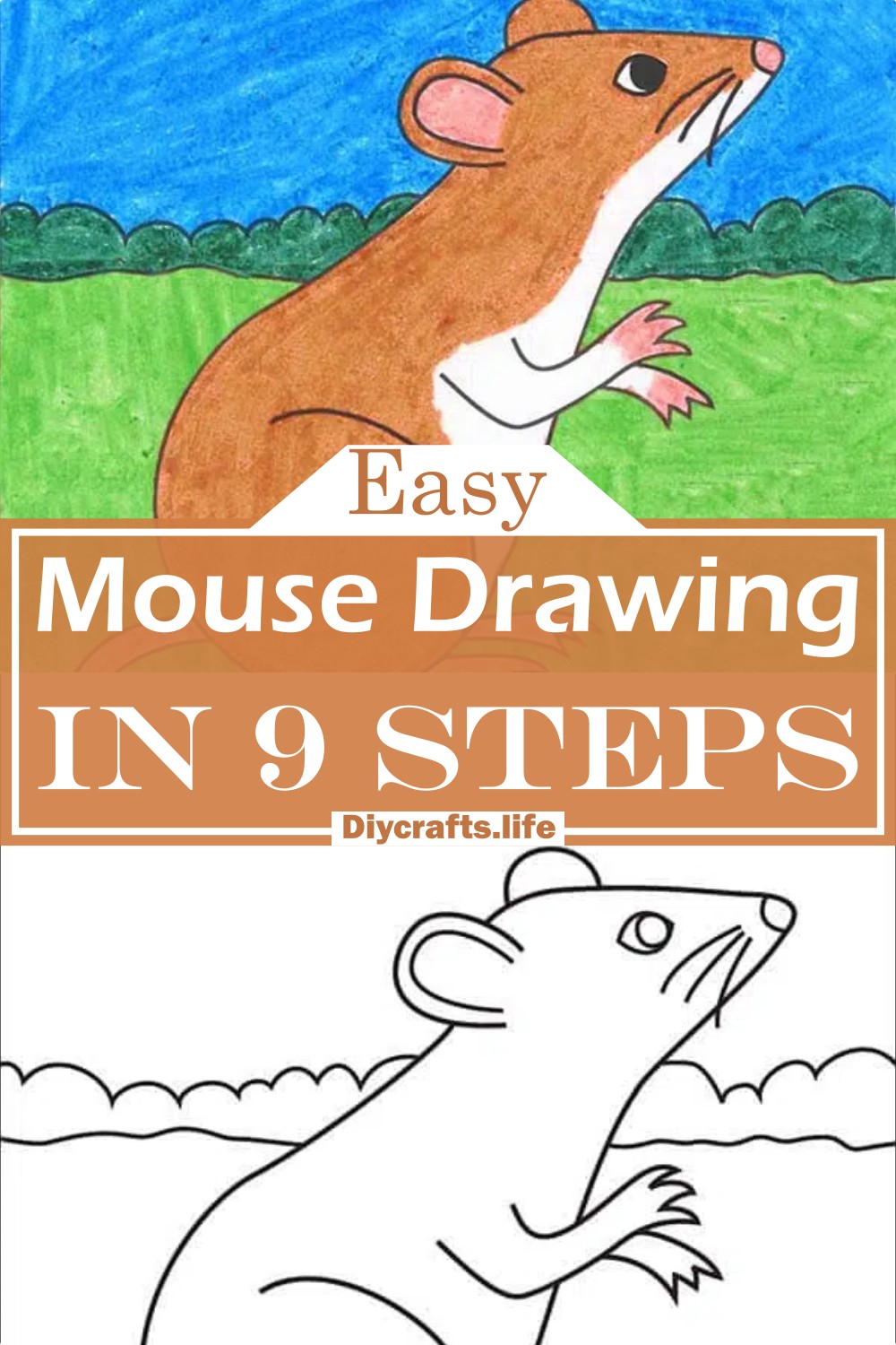 Mouse Drawing In 9 Steps