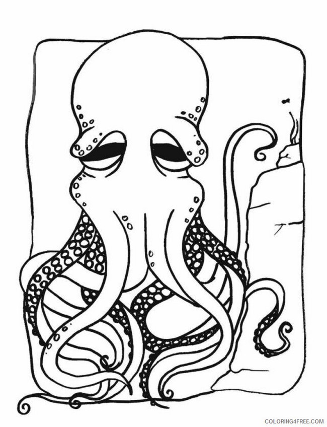 Old Octopus Drawing