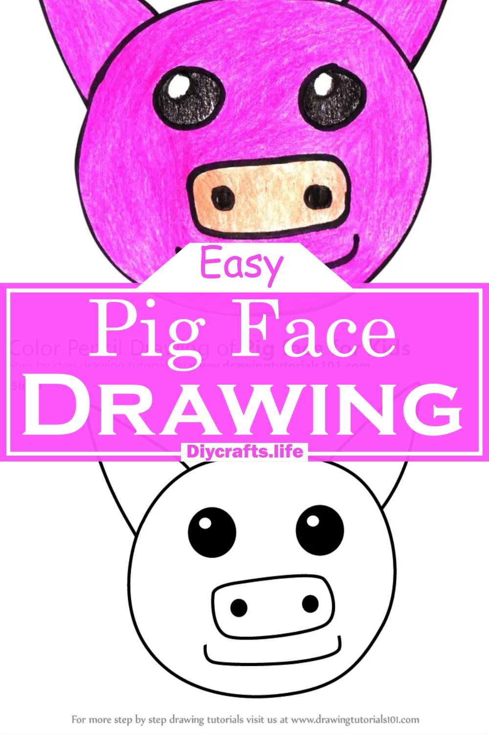 Pig Face Drawing