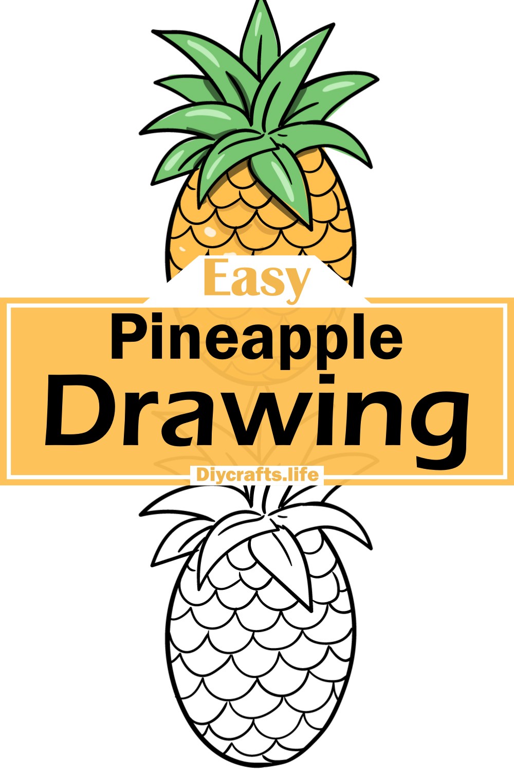Pineapple Drawing Guide