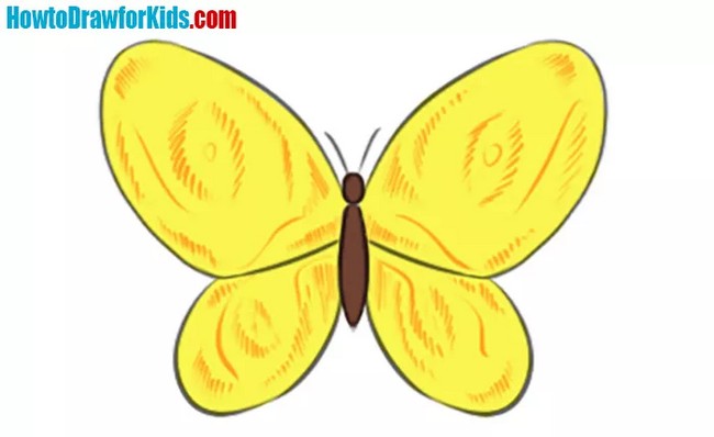 Pretty Yellow Butterfly Drawing