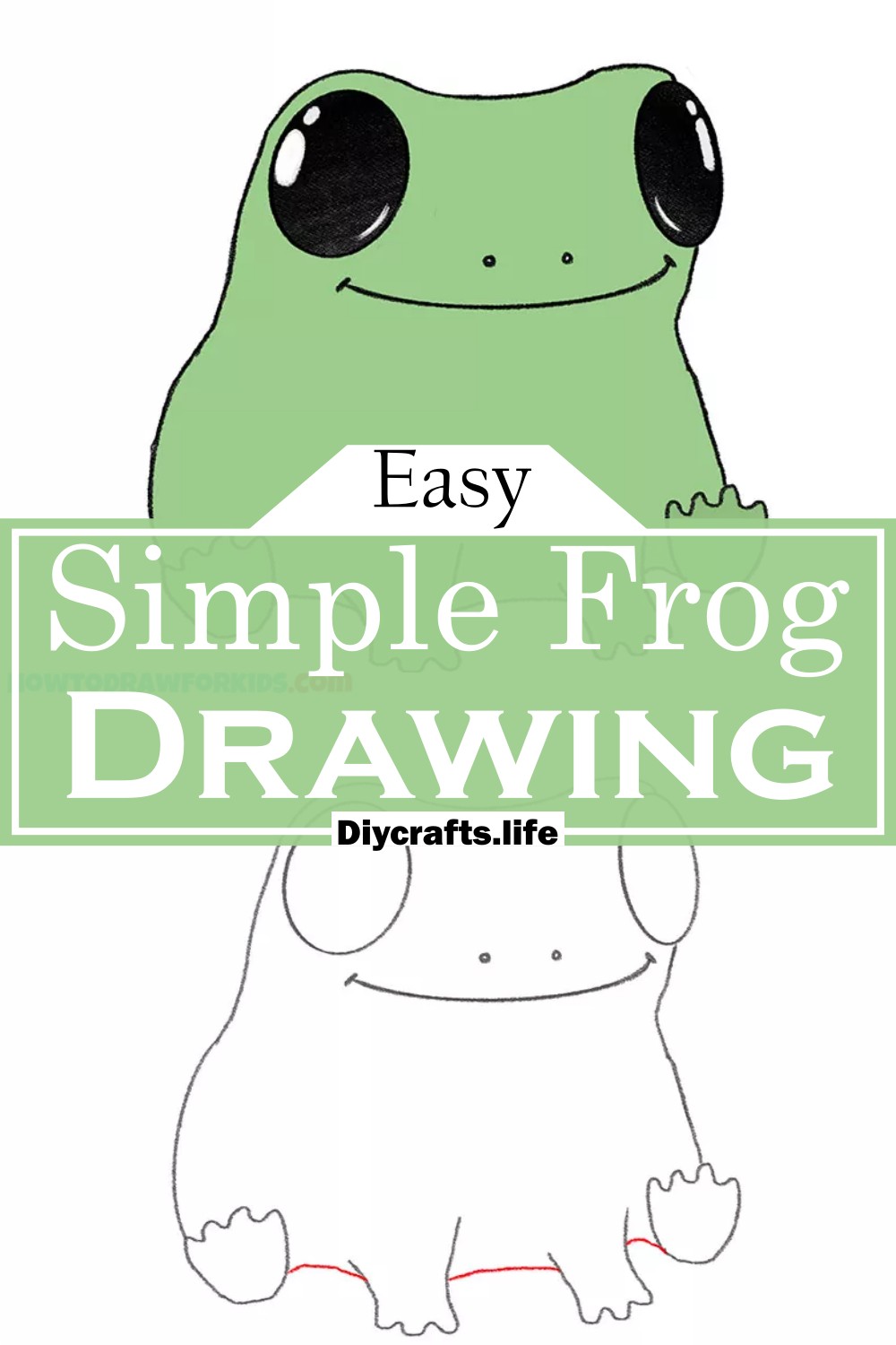 How to draw a 3D frog easy step by step - 3D drawing easy