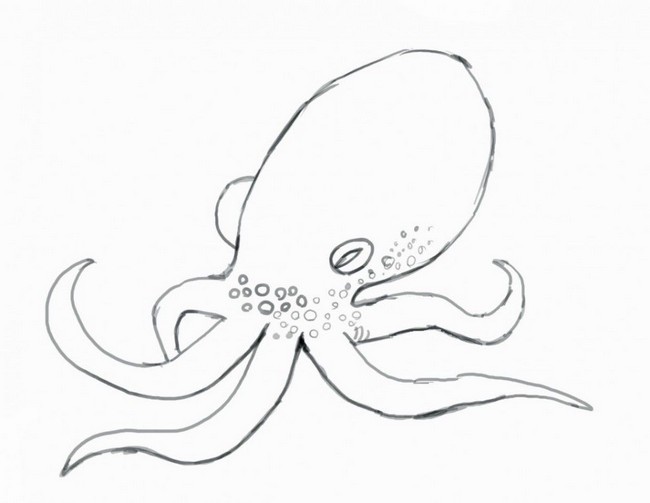 Simple Octopus Drawing Idea