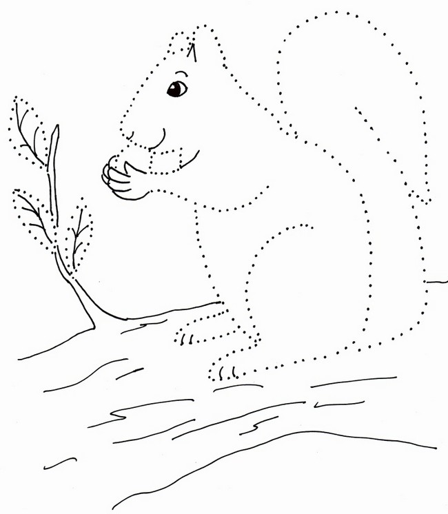Squirrel Dot Drawing