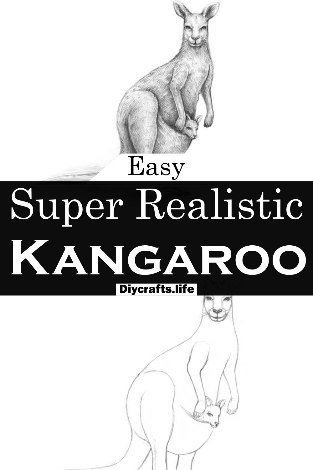 Super Realistic Kangaroo