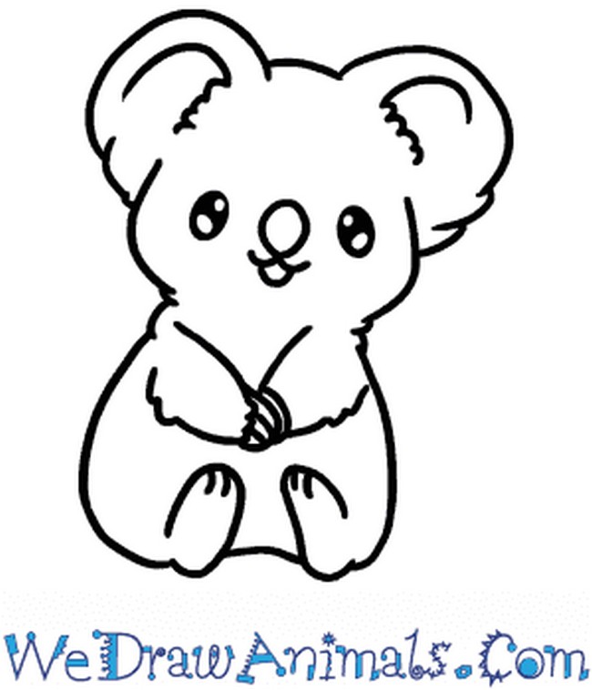 The 5-step Koala Drawing
