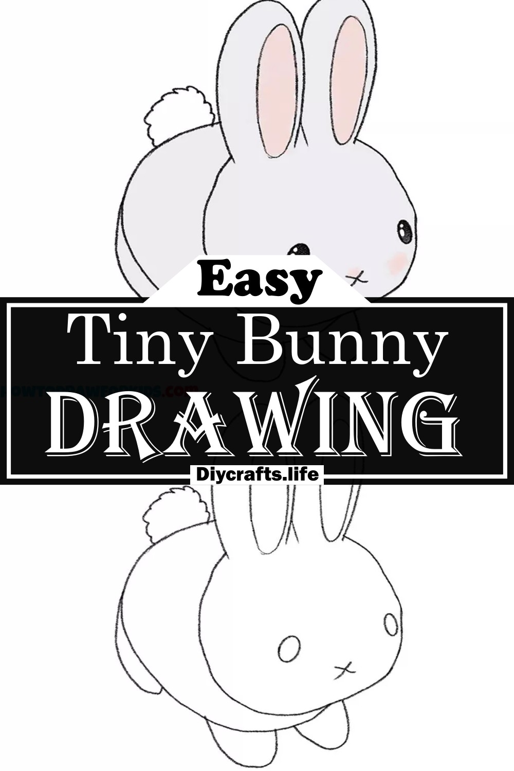 Tiny Bunny Drawing