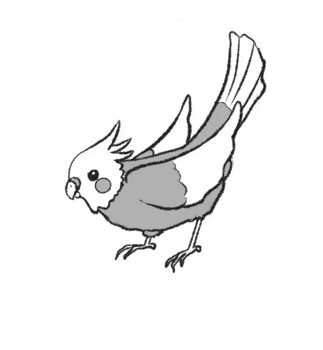 Awesome Bird Sketch