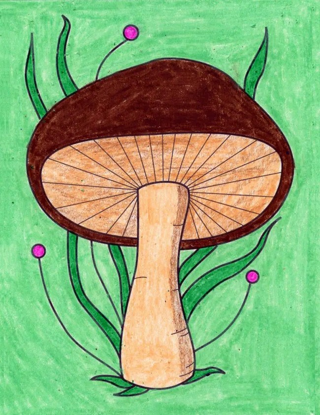 Easy How To Draw A Mushroom Tutorial