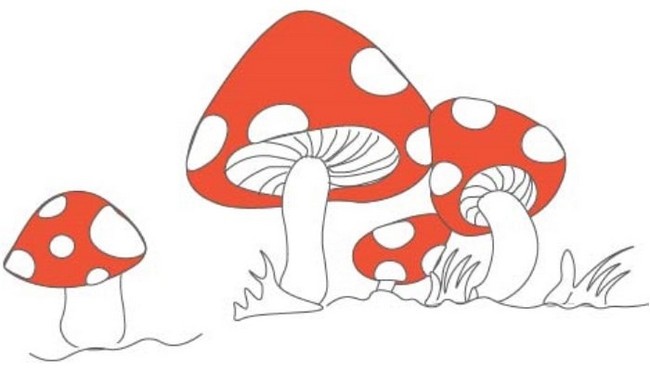 Easy Mushroom Drawing
