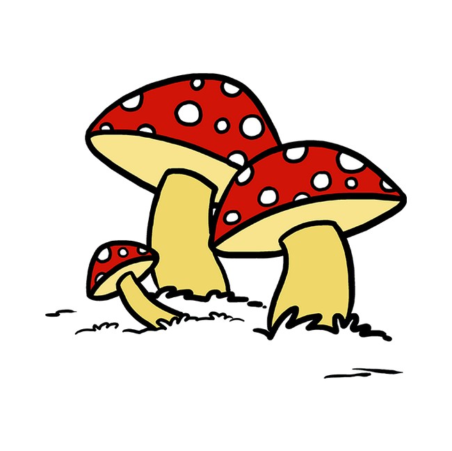 Easy Step-by-step Mushroom Drawing