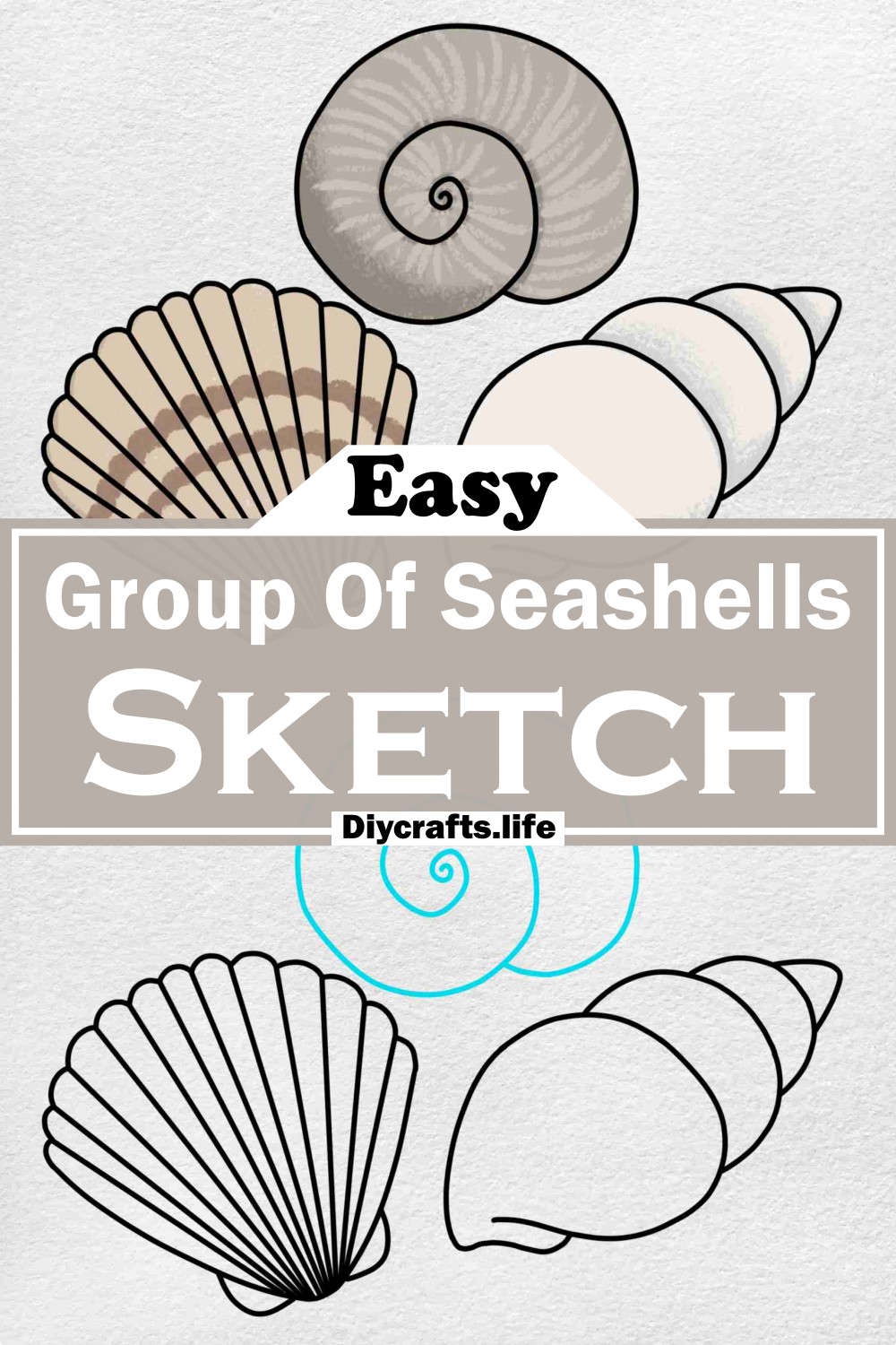 Group Of Seashells Sketch