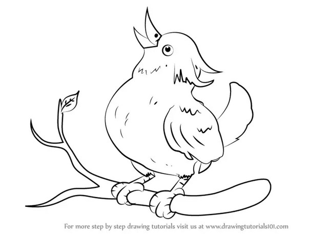 How To Draw A Bird Sitting On A Branch