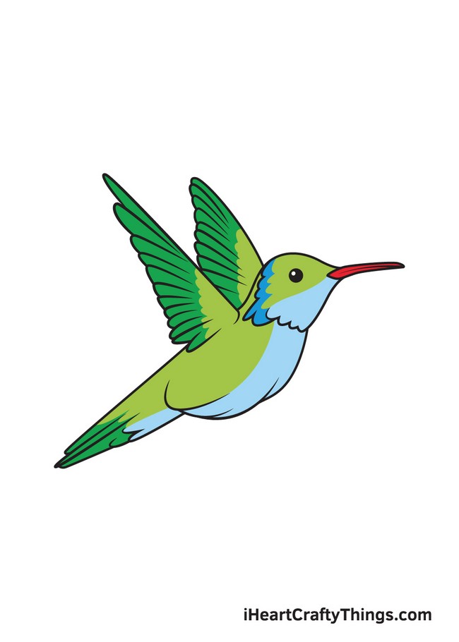 How To Draw A Hummingbird 1