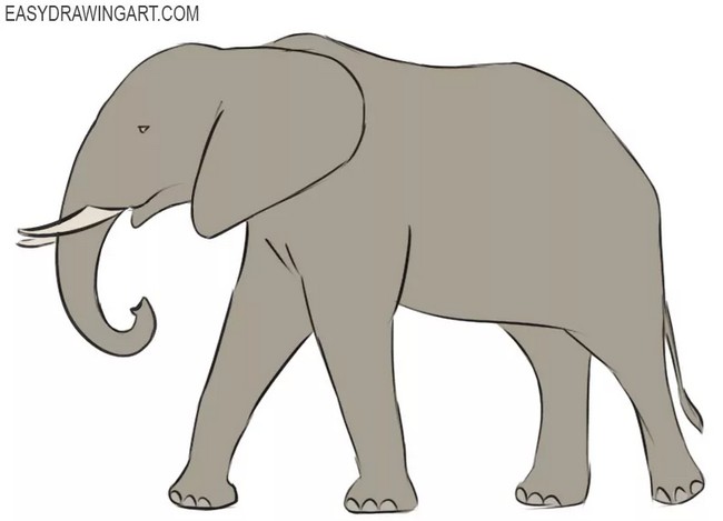 How To Draw An Elephant 1