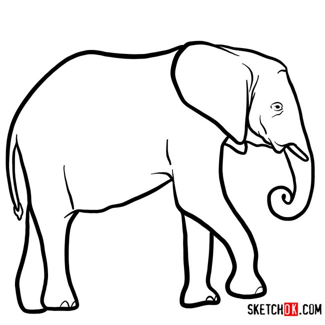 How To Draw An Elephant Side View