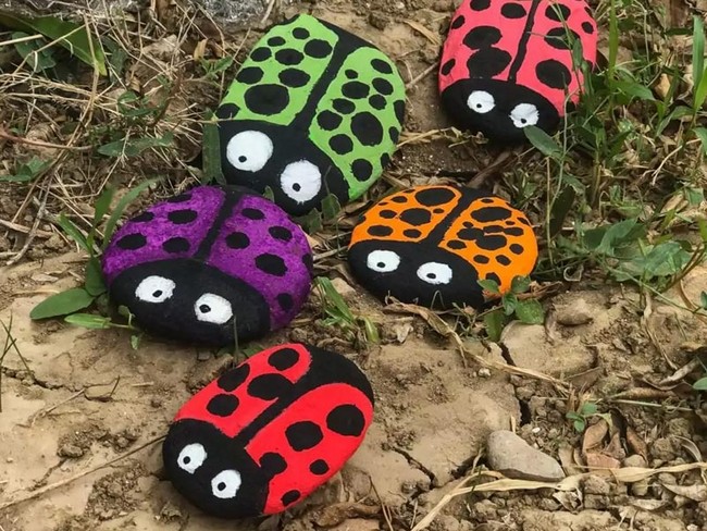 Ladybird Pebbles