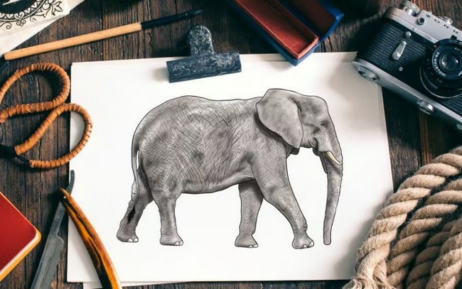 Magnificent Elephant Sketch