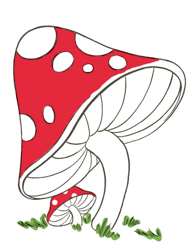 Mushroom Drawing Eas