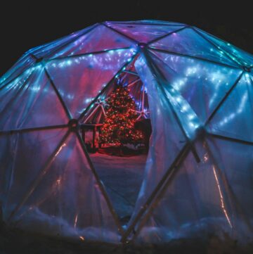 5 DIY Bubble Tent Plans