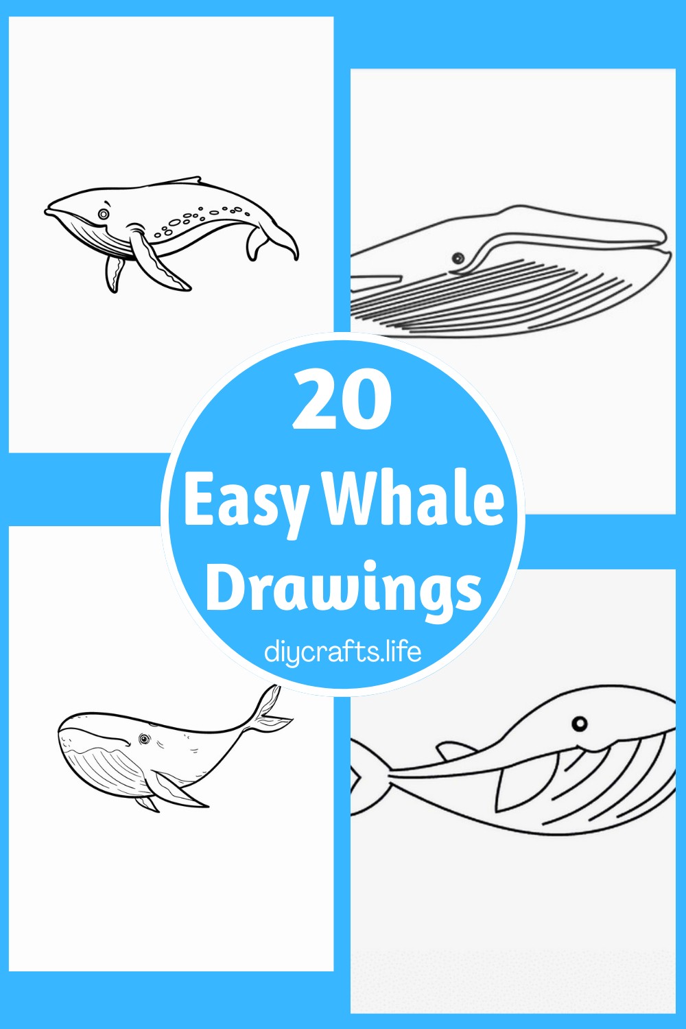 20 Whale Drawing Ideas For Kids Fun