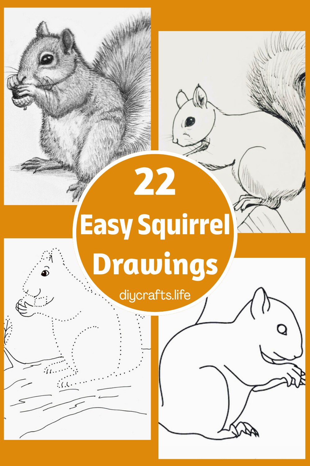 22 Easy Squirrel Drawing Ideas