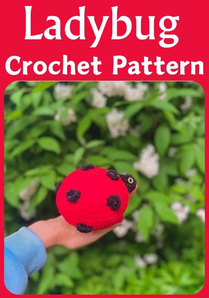 Crochet Ladybug Amigurumi 