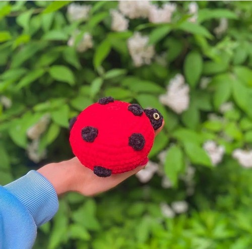 Crochet Ladybug Amigurumi Pattern