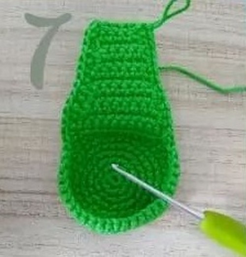Avocado 2