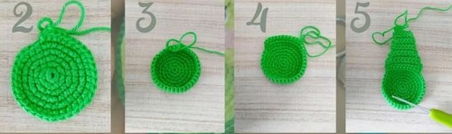 Avocado