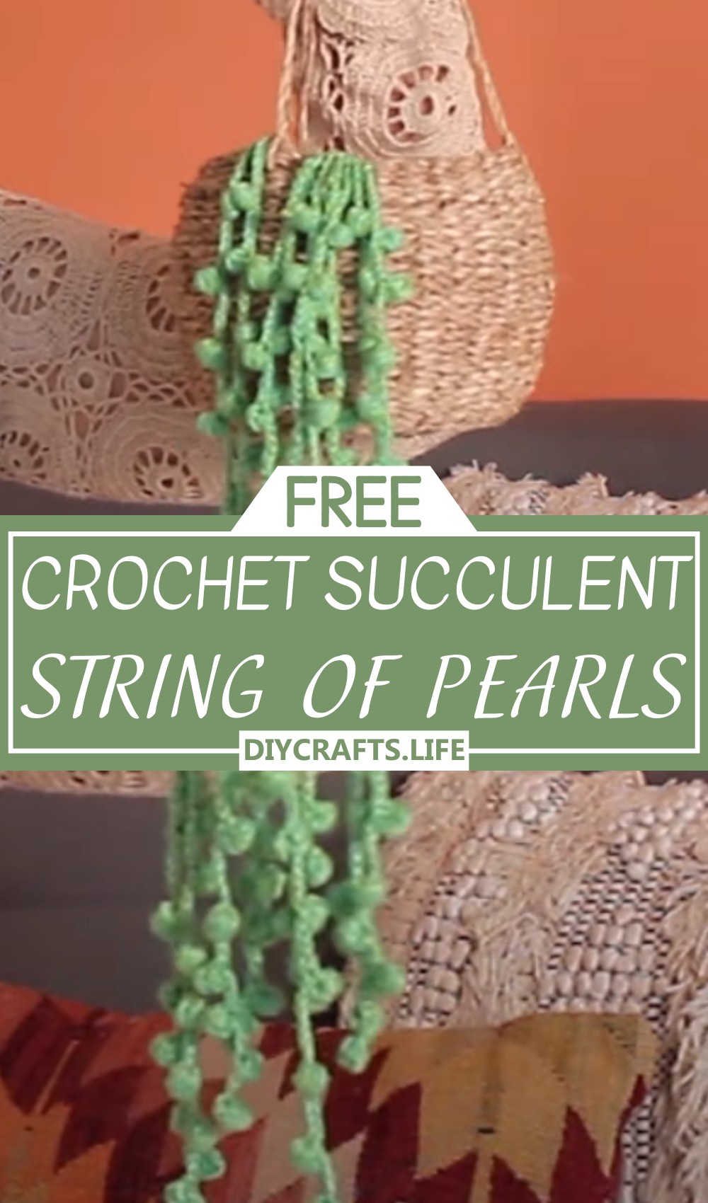 Crochet Succulent Pattern