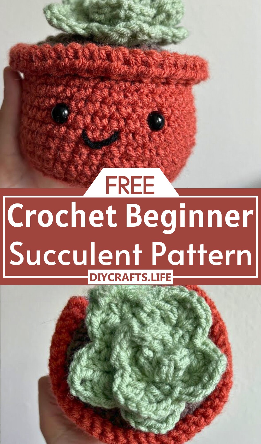 Beginner Crochet Succulent