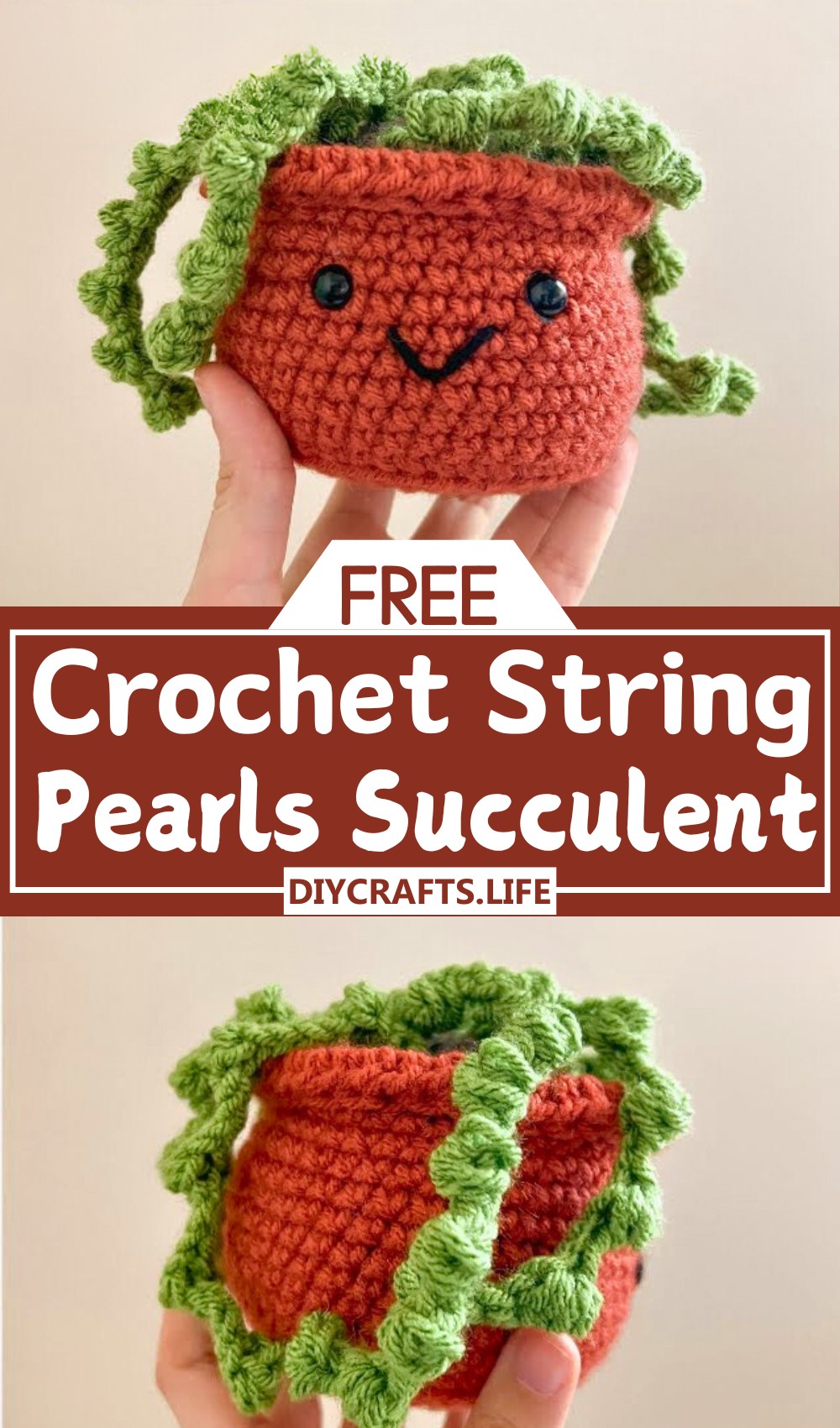 Crochet String of Pearls Succulent