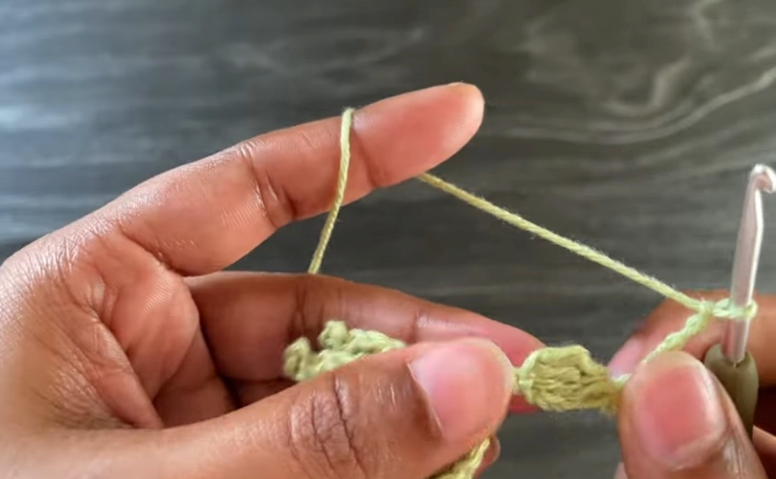 Easy Crochet Leaf Branch Pattern