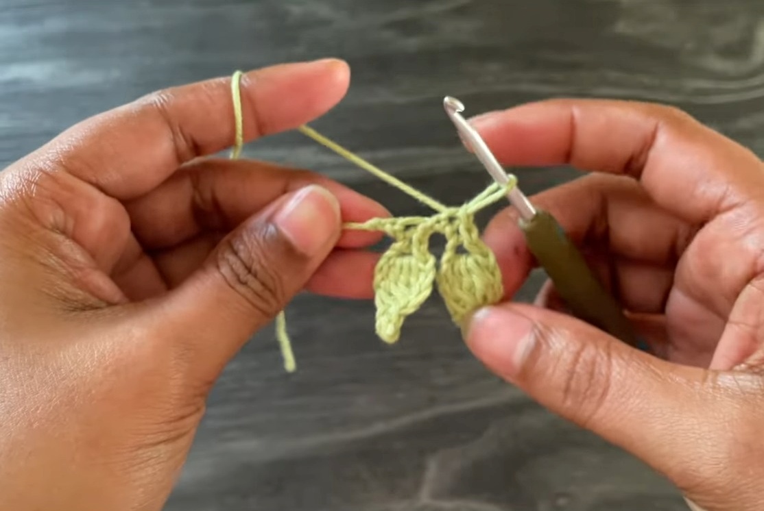 Easy Crochet Leaf Branch Pattern