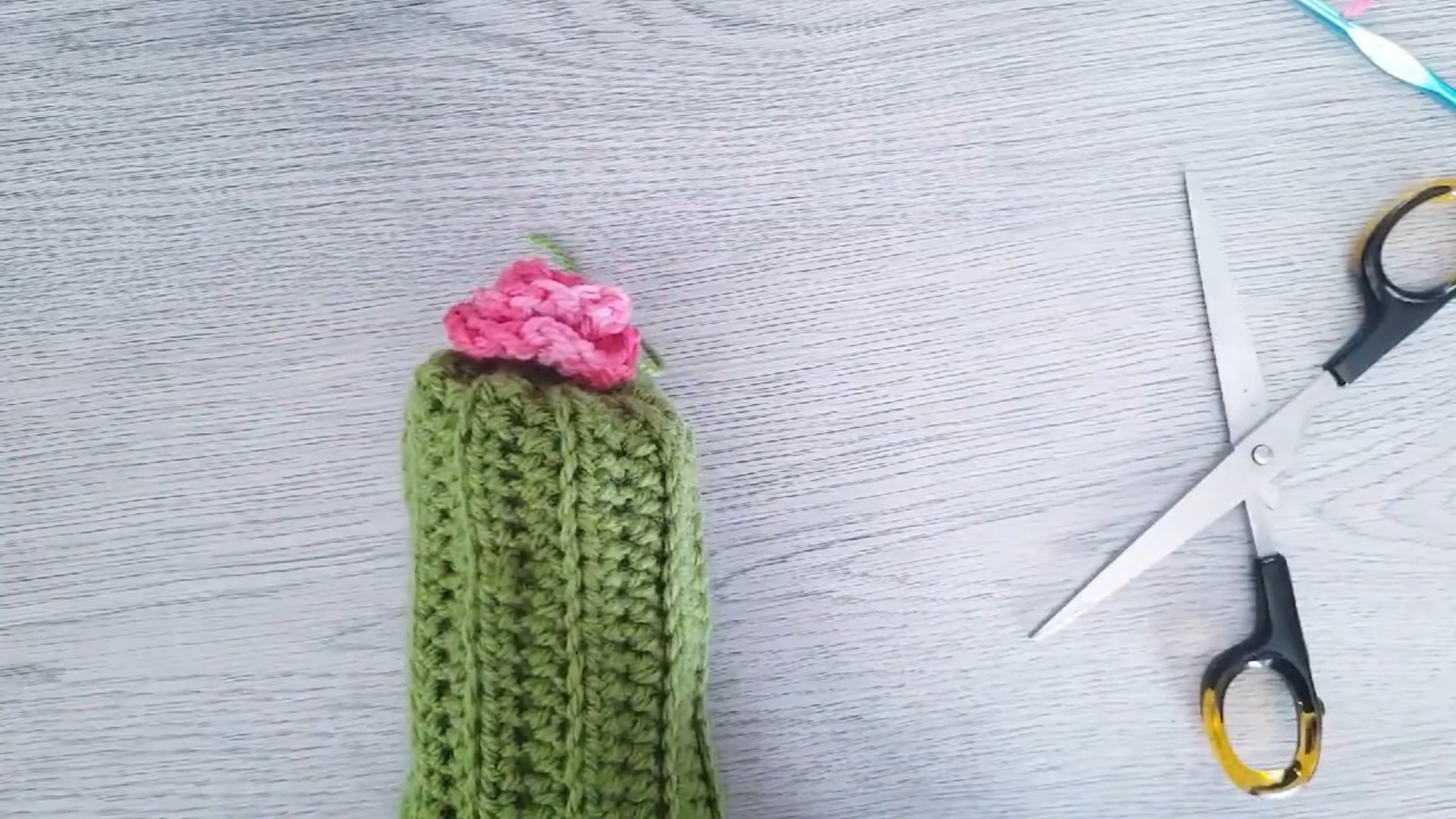 Crochet Cactus