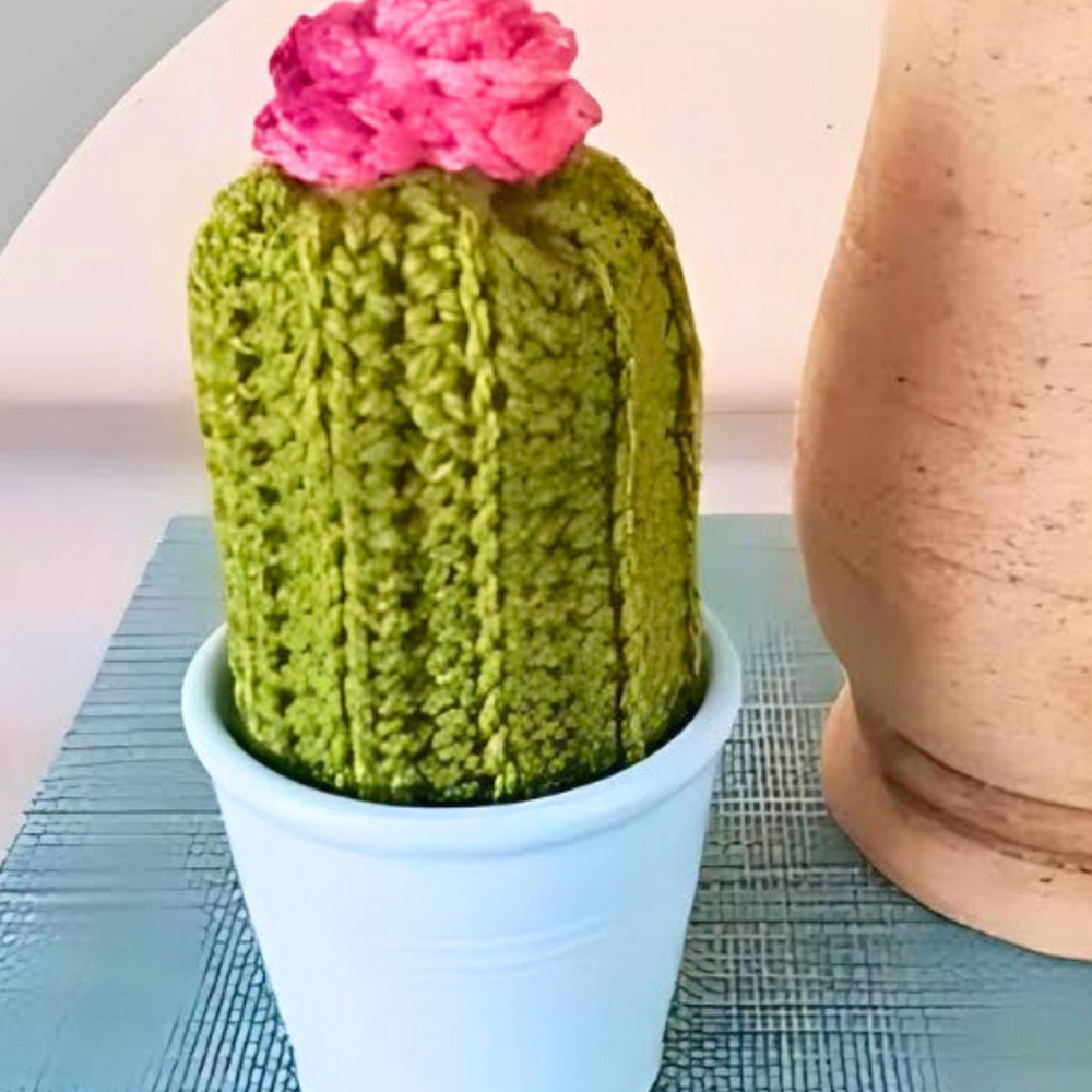 Crochet Cactus