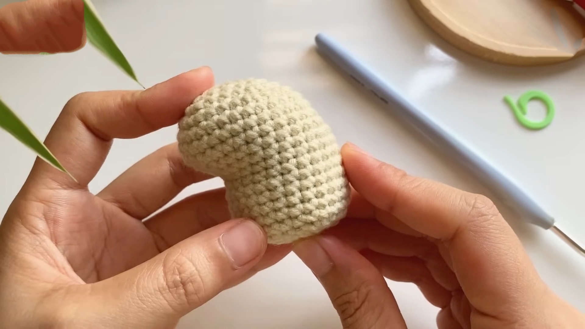 Crochet a Capybara in a Bathtub