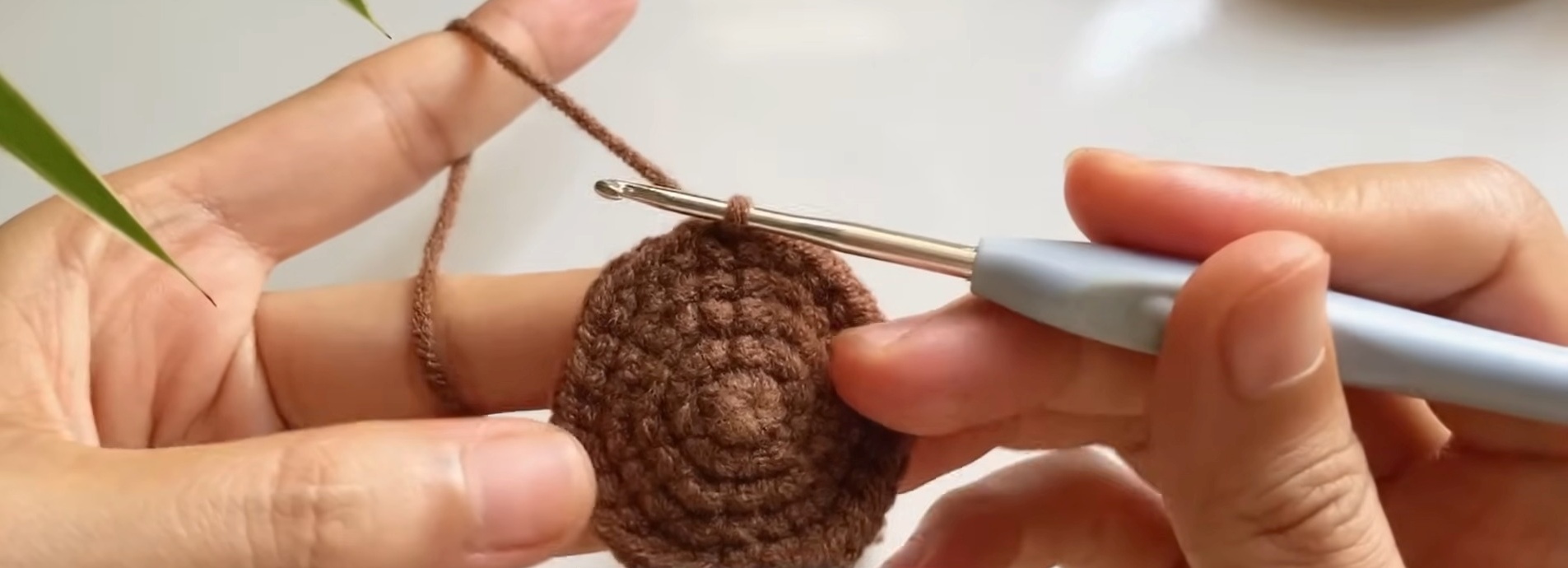 Crochet a Capybara in a Bathtub