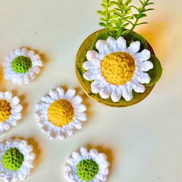 Charming Crochet Daisy Applique Tutorial for Creative Projects
