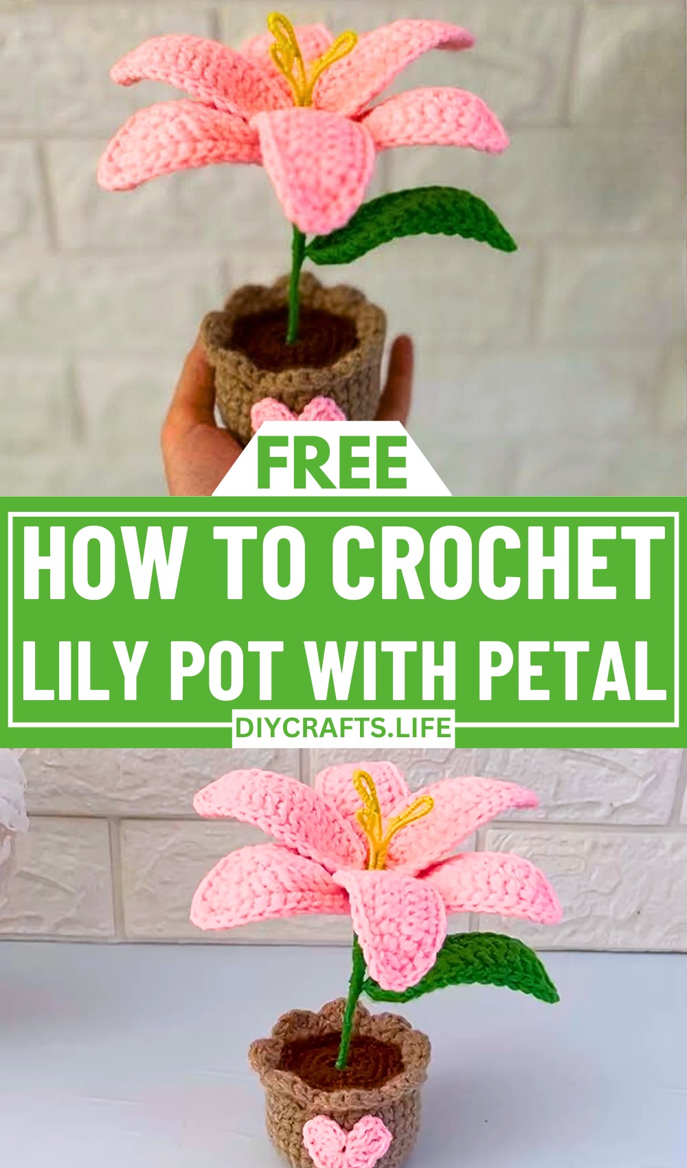 Stunning Crochet Lily Pot with Unique Petal Techniques