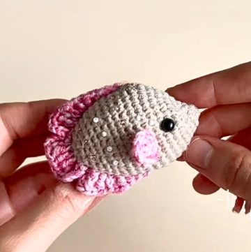 Crochet Butterfly Fish Pattern – Beautiful and Unique Design