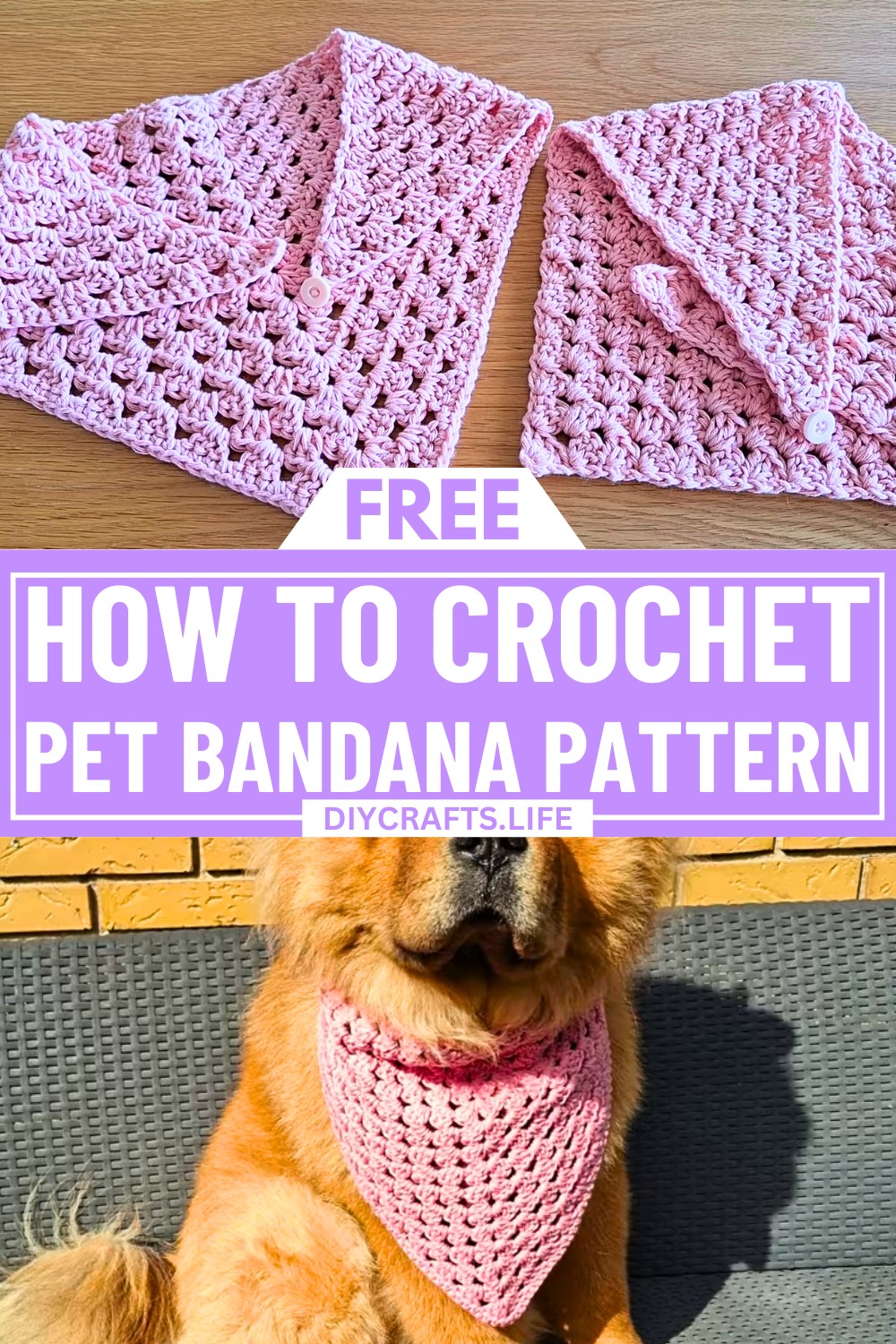 Crochet Pet Bandana - Two Creative Pattern Styles